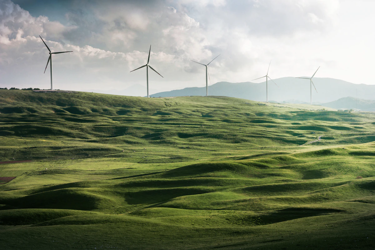 Tren Investasi Hijau (Green Investment) di Tahun 2026